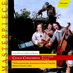 Cello Concerto No. 2 in D Major, Hob. VIIb:2: II. Adagio