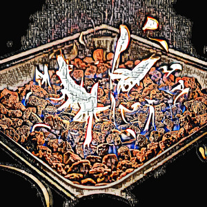 Paradise of Deep Jams