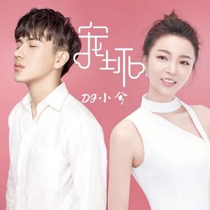 宠坏 (DJ版)