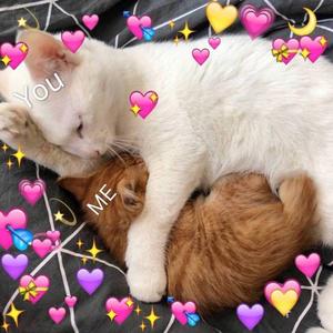 讨厌你（Cover 王冕&阿涵）