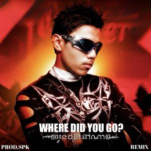 Where Did You Go (Remix)