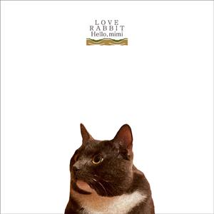 아픈 소원 - 곡정보아픈 소원1