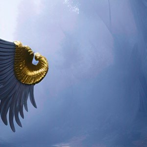 Wings Flying Through Nothingness