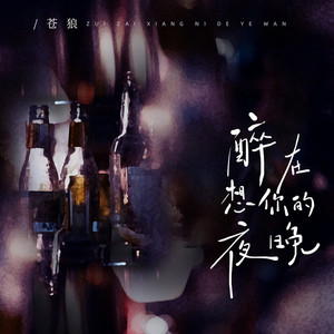 醉在想你的夜晚 (伴奏)