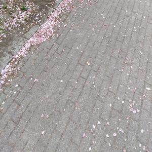 I sanningens ögonblick