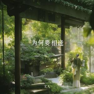 为何要相逢