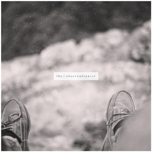 The Observationist
