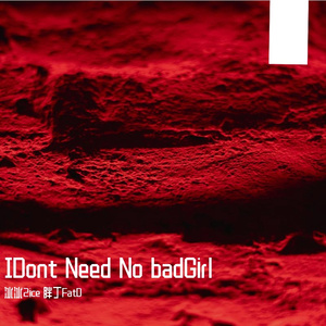 IDont Need no badGirl