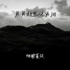 片片相思化为泪