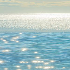 大鱼 （Cover 周深）