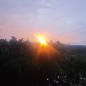 孤岛溺毙