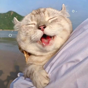 想说（cover：颜人中）（翻自 颜人中）