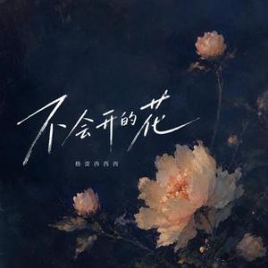 不会开的花 (DJ弹鼓版) 0.8x降调版