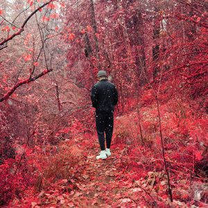 Herbaceous (feat. Tara Wheeler)