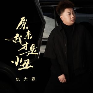 原来我才是小丑（东北话版）