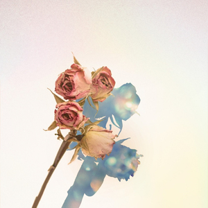 우리 찬란했던 사랑은 이제…