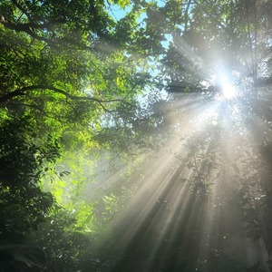 [FREE] Freedom x Melody Piano Type Beat "丁达尔效应"