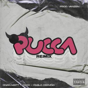 Pucca (feat. Yaco & Pablo Cervinio) (Remix) (Remix)