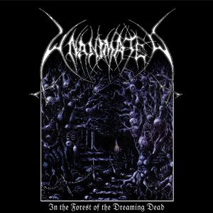 Blackness of the Fallen Star