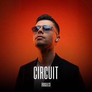 Circuit