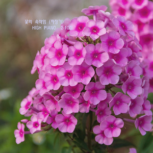 꽃의 속삭임 (자장가)