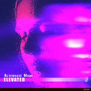 Elevated (Extended Mix)