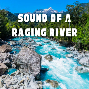 Torrential Streamlets