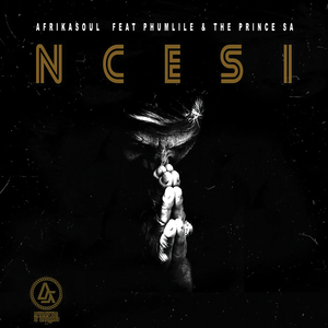 aFrika Soul - Ncesi Feat Phumlile & The Prince SA 16bit (Original)