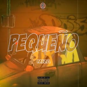 Pequeño