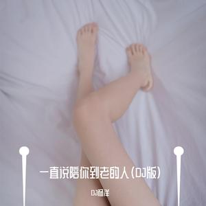 一直说陪你到老的人（DJ版）