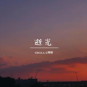 岑宁儿-追光者remix 逝光（CH1LL1辣椒remix）（CH1LL1辣椒 remix）