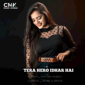 TERA HERO IDHAR HAI