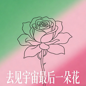 去见宇宙最后一朵花