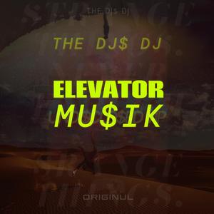 ELEVATOR (POOL HOUSE)