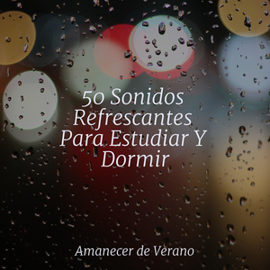 Notas Desvanecientes de Soledad