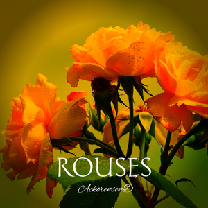 Rouses