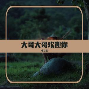 大哥大哥欢迎你