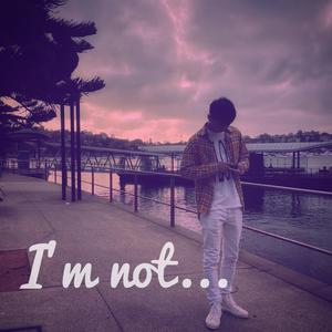 我不是 (I'm not)