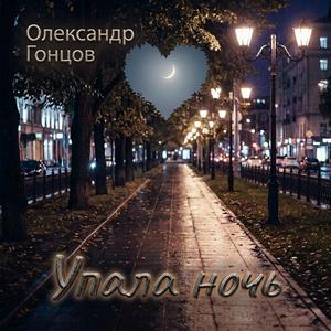 Упала ночь