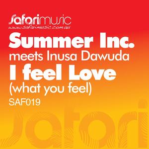 I Feel Love (What U Feel) [The Whiteliner Mix]