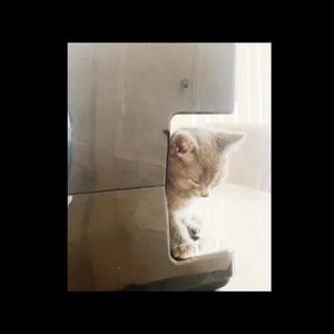 I Don't Know What To Do