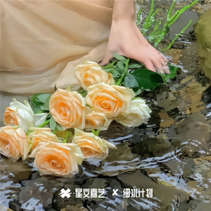 风琴女声Deep In Love