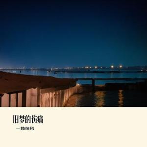 旧梦的伤痛