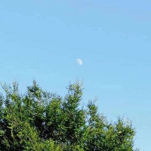 一起奔赴更好地明天（Prod.by Lisure）