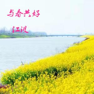 与春共好-江波