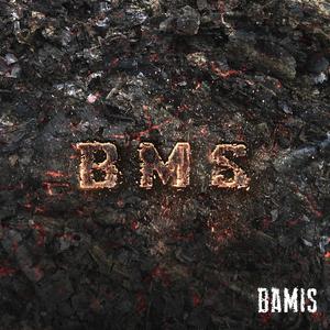 BMS