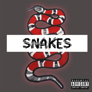 S N A K E S
