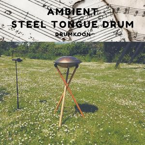 Steel Tongue Drum Sacrifice