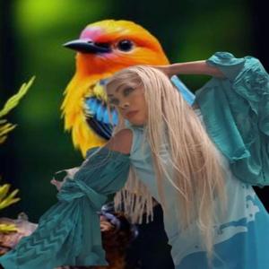 You Are My Bonny Bird