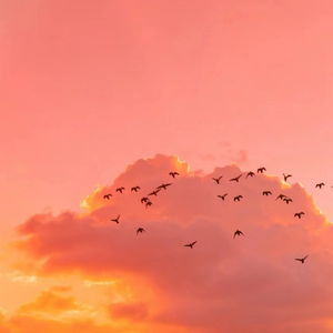 Countdown time（倒数的时光） 伴奏